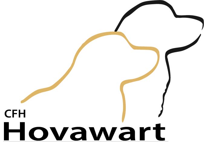 hovawart
