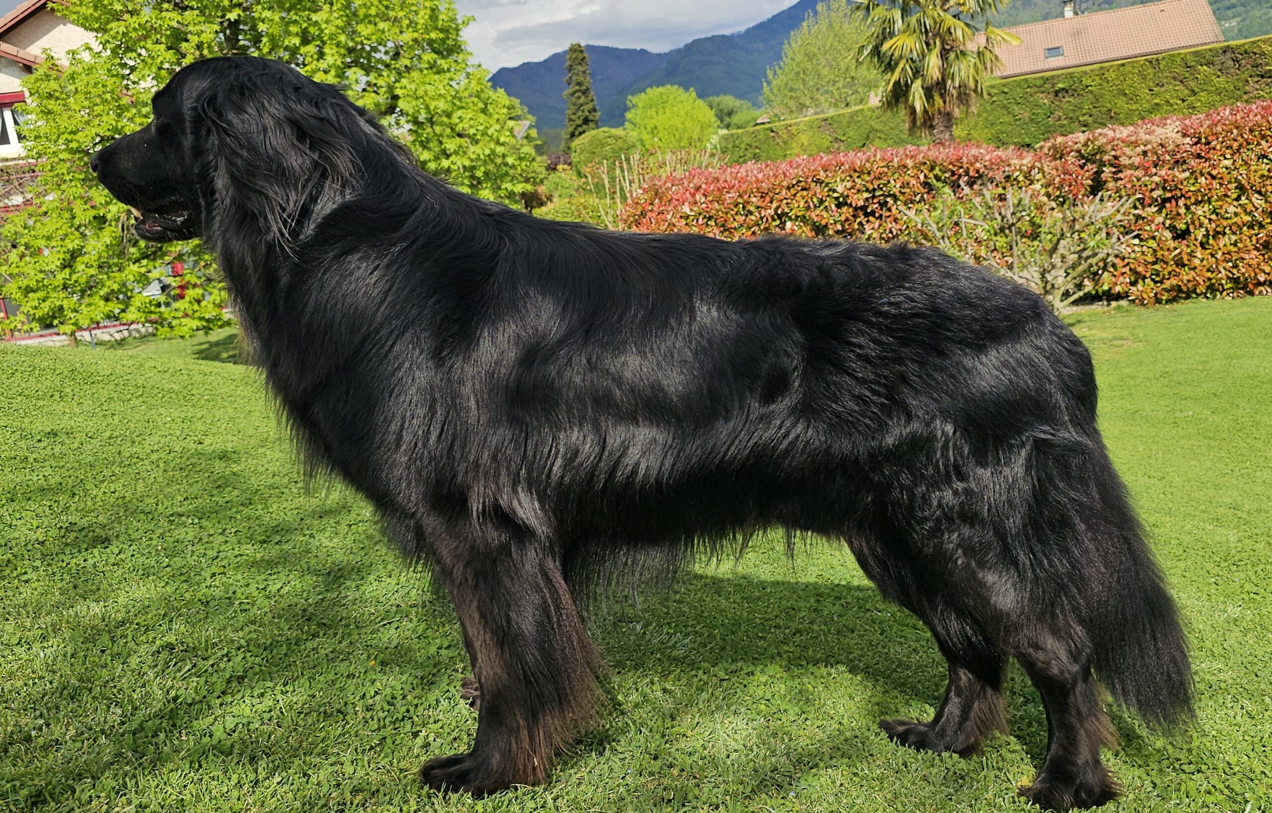 R&rsquo;Django du Clos Chalandré