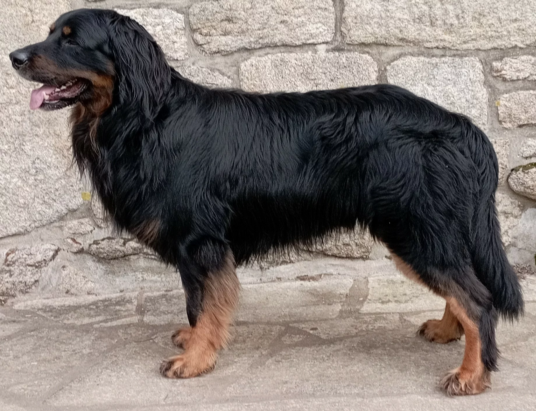 Sirius Unalome