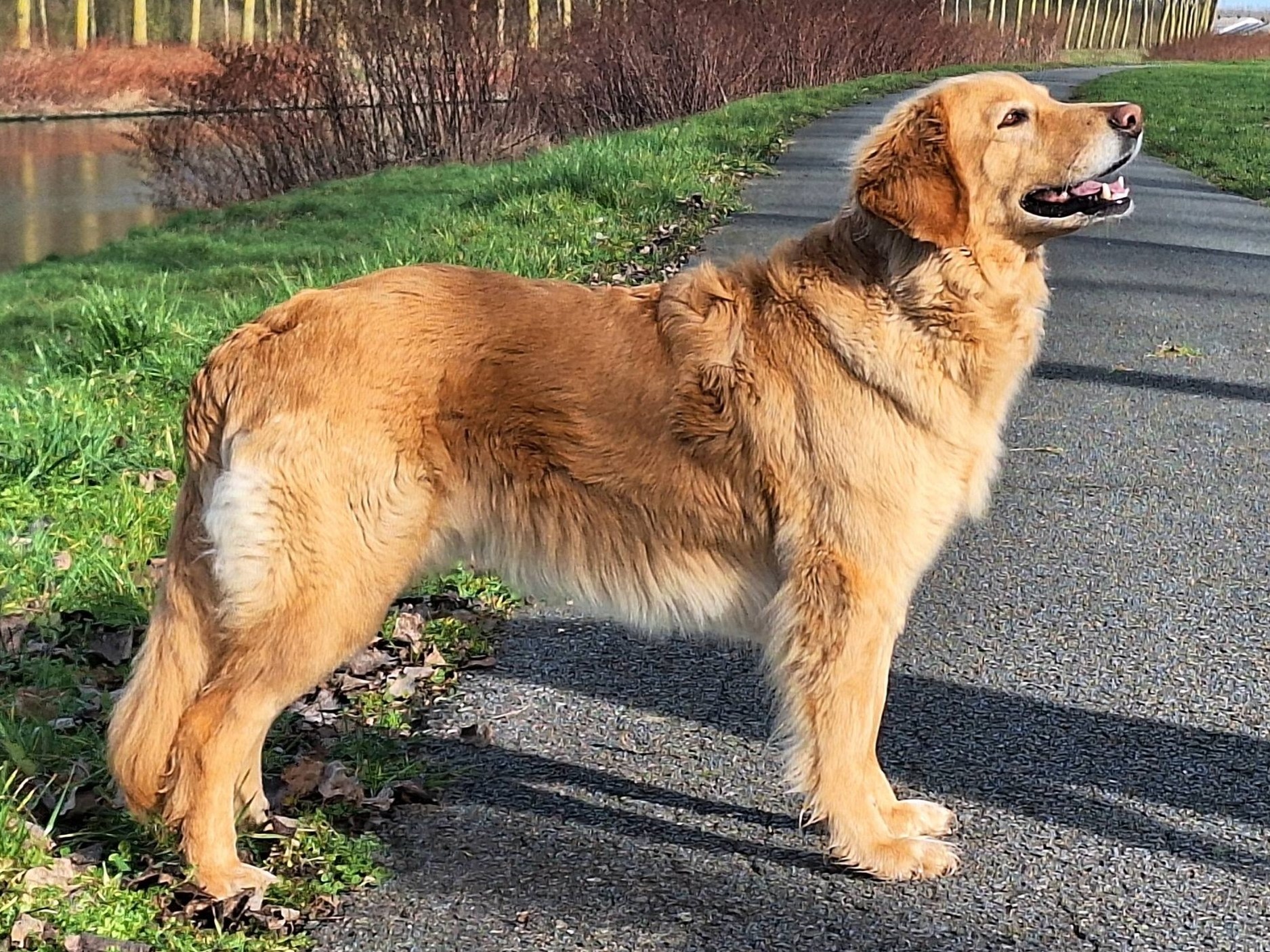Sahel des Bunkers de l&rsquo;Elnon
