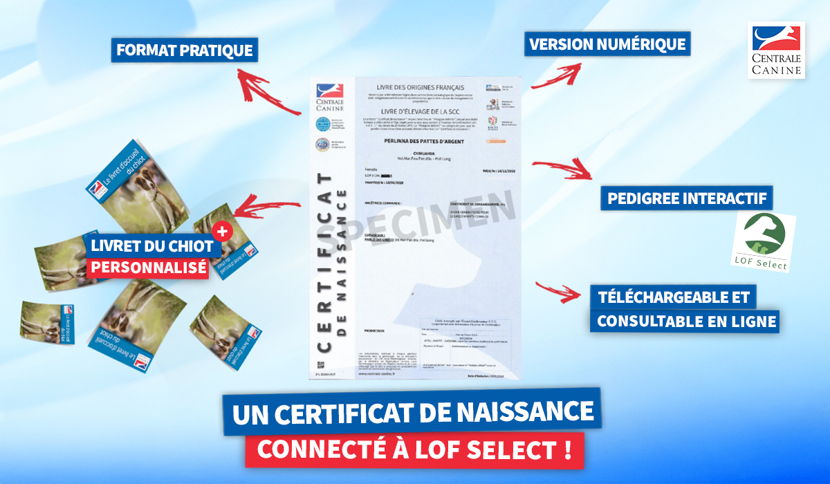 Certificat de naissance dématerialisé