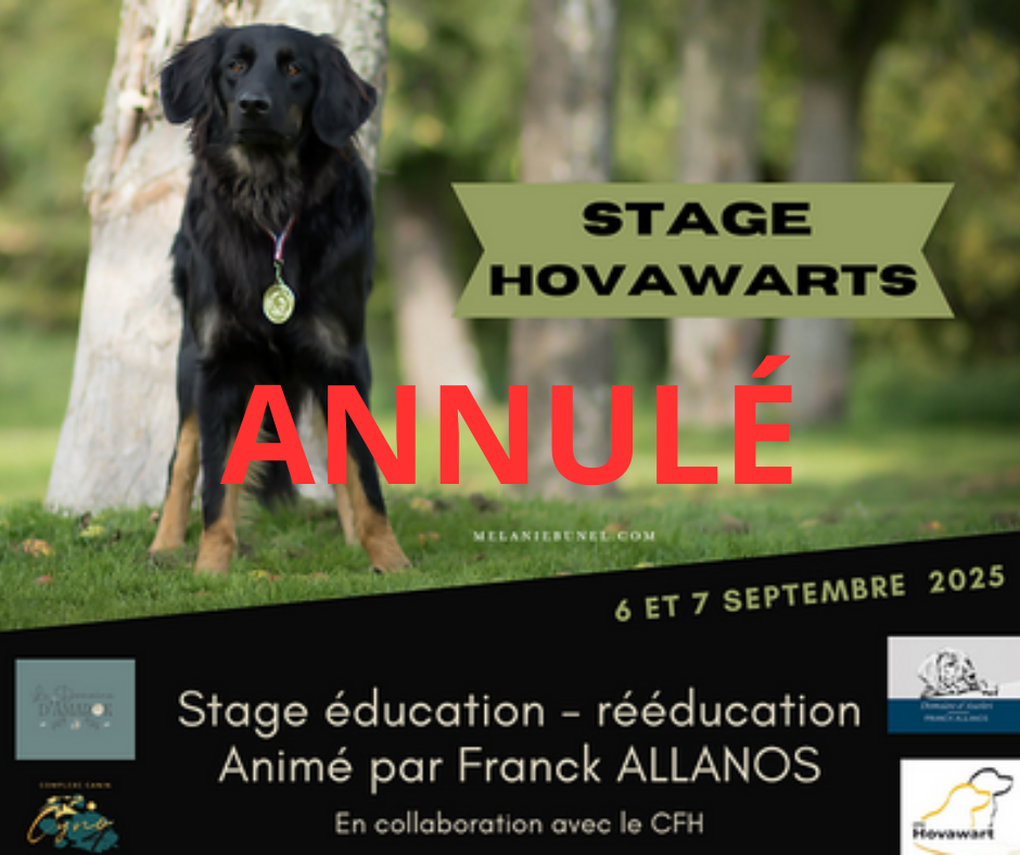 Annulation du stage éducation
