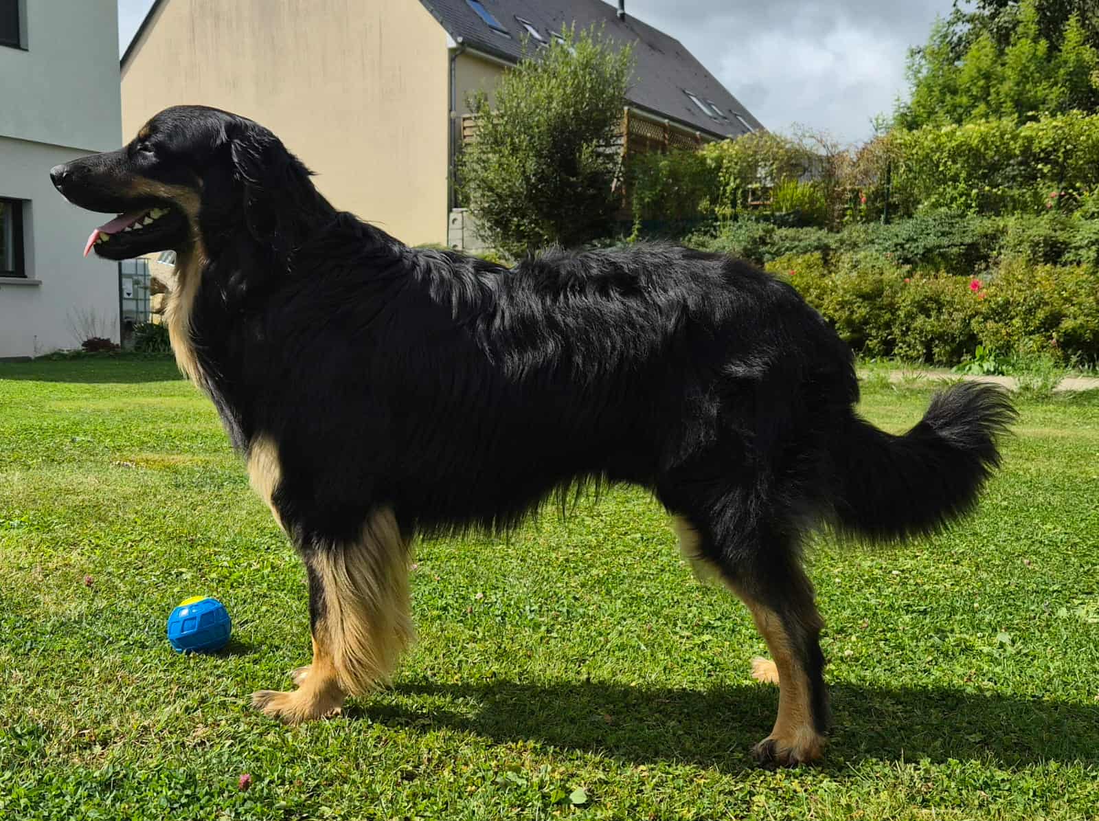 U’Voss des Jardins de la Damoiselle
