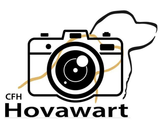 Préparation prochain bulletin