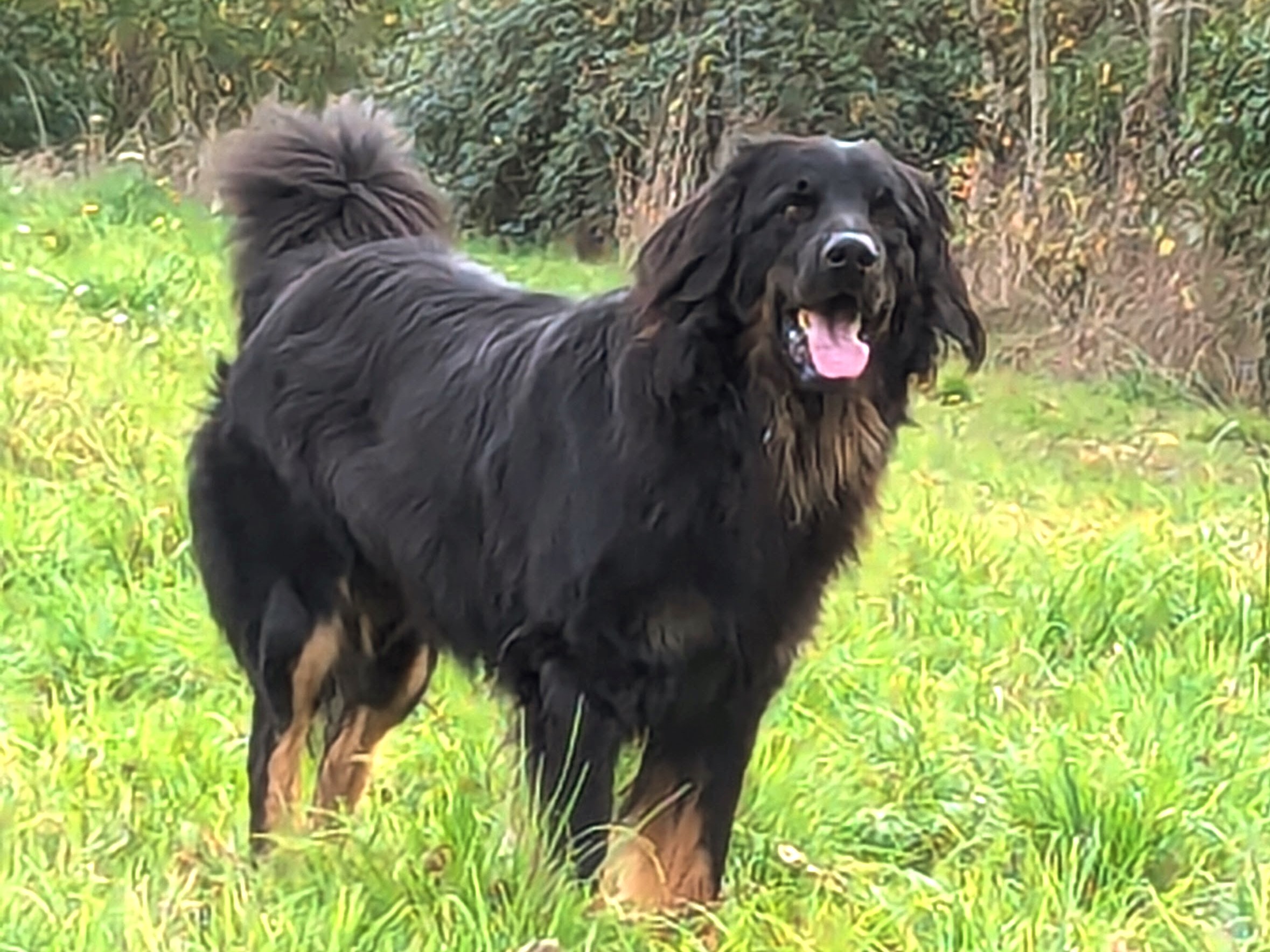 Udson-Coeur du Clos Chalandré