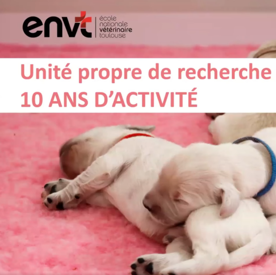 Les découvertes en néonatalogie canine