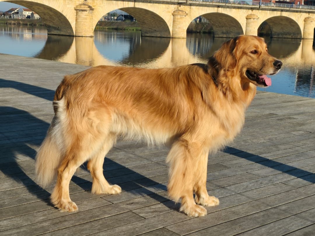 Vauban Des Légendes de Belington