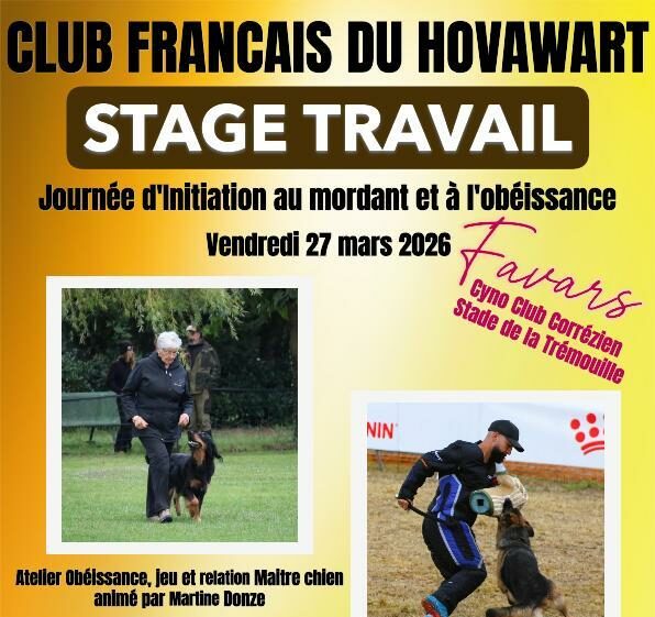 Journée d’initiation au mordant et à l’obéissance à FAVARS