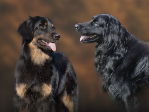 DE LA TERRE ROUGE FONTAINE