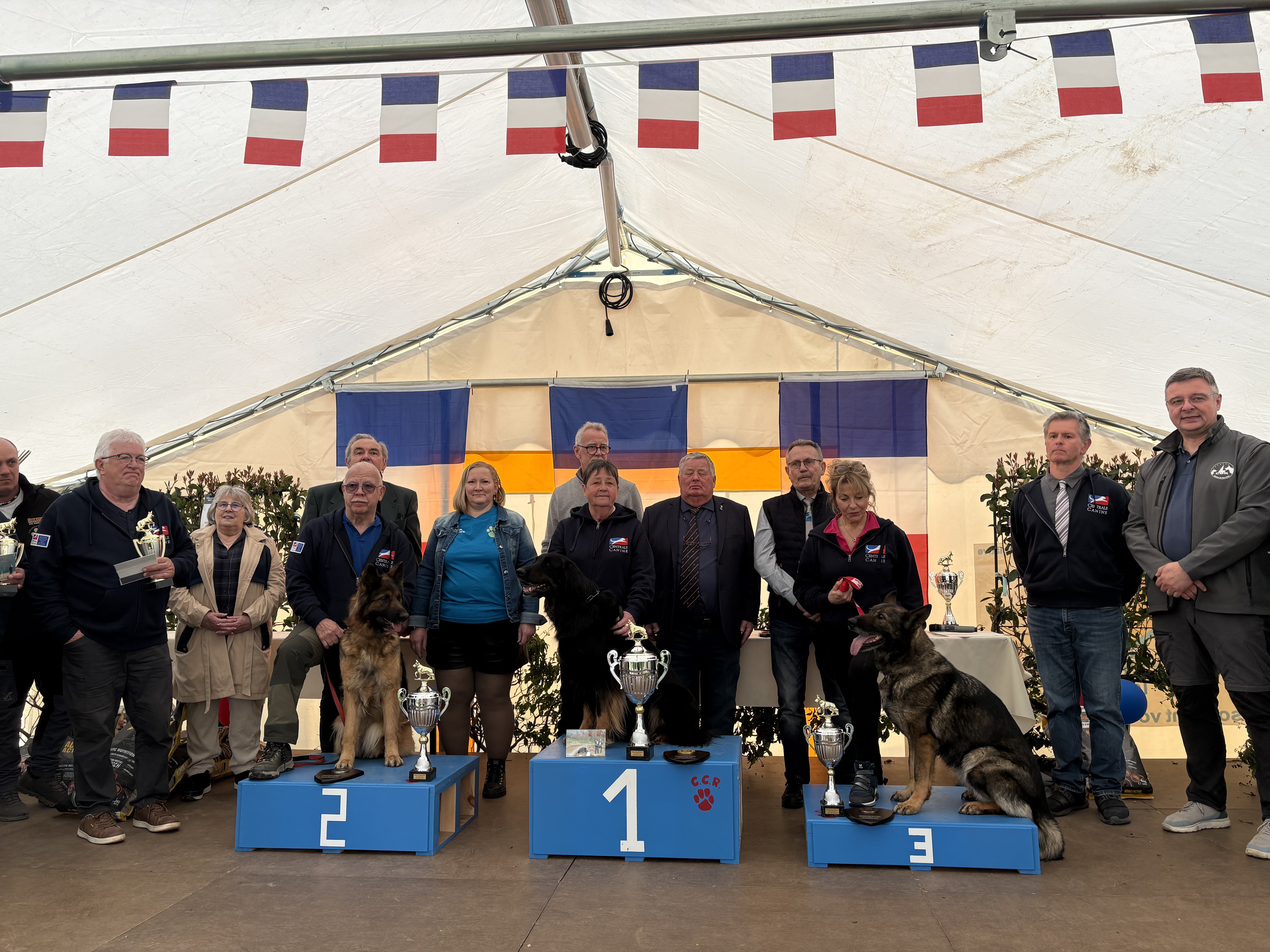 Félicitations à Brigitte Pauget et Daikini aus Mandana !