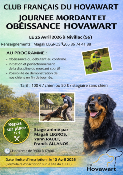 Stage Mordant et Obéissance Hovawart 2026 – C’est reparti !