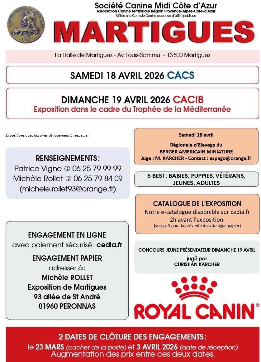 Exposition spéciale Hovawart Martigues