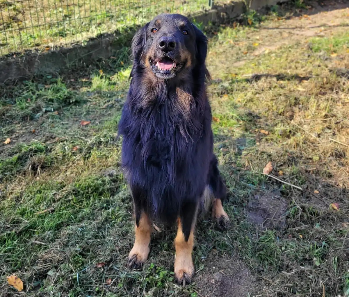 Scrabble des Bunkers de l’Elnon