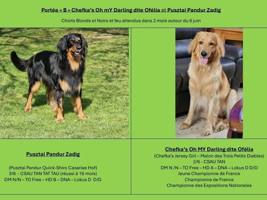 DES TROIS PETITS DIABLES 