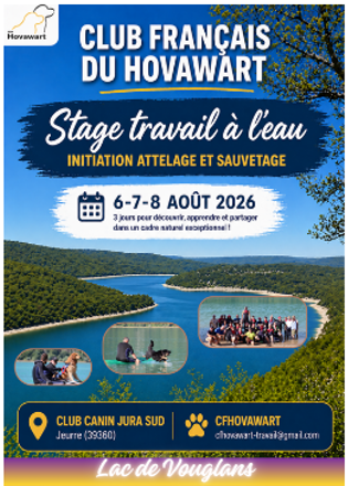 STAGE TRAVAIL À L’EAU – HOVAWART 2026