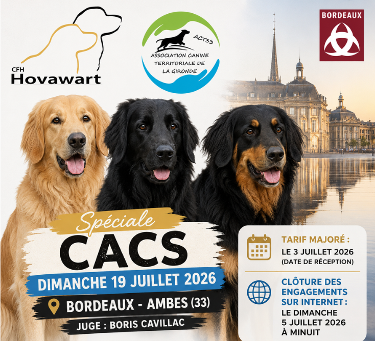 Avis aux amateurs d&rsquo;Hovawart de la région bordelaise !