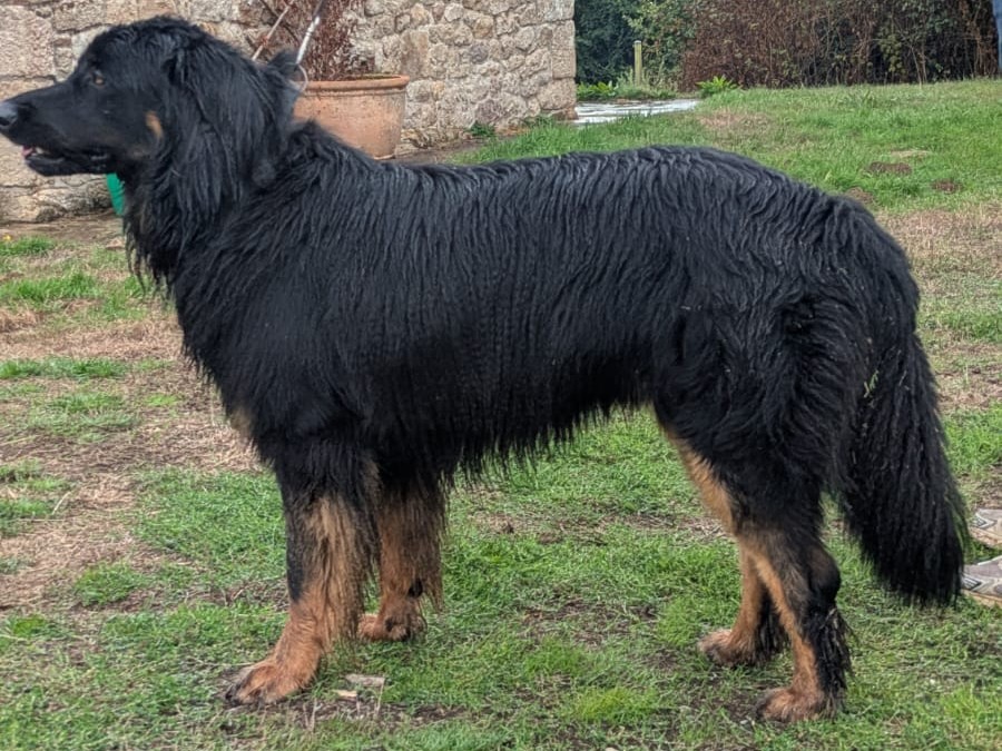 Vaiko des Landes de Kerloggan